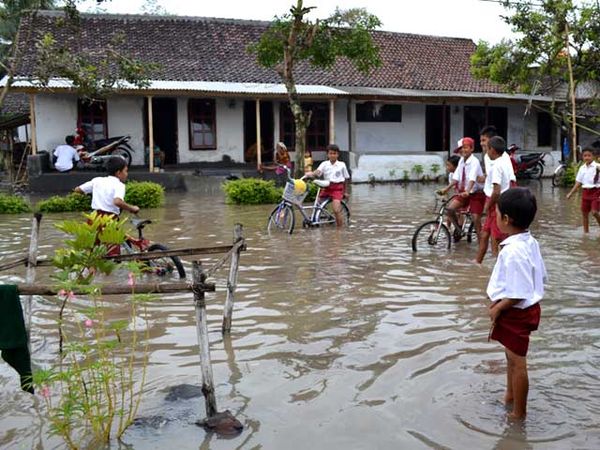 Puluhan Rumah di Lumajang Terendam Banjir