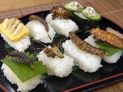  Uni Eropa Teliti Serangga Sebagai Sumber Protein Berkualitas