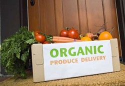 7 Alasan Kenapa Memilih Makanan Organik