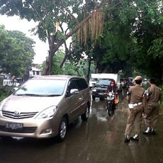 Pohon Timpa Honda Jazz di Kebayoran Lama Dievakuasi, Lalin Tersendat