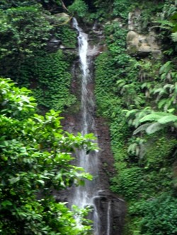 Pesona Air Terjun Alam di Bogor