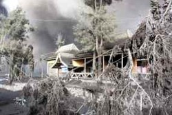  BNPB: Pasca Bencana, Daerah Tak Akan Dibantu Jika Tak Punya BPBD