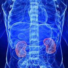 Ibu Rela Donorkan Ginjal Demi Anak Dapat Pekerjaan