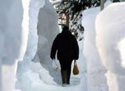 Badai Salju di Jepang Tewaskan 52 Orang