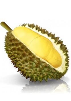 Acquired Taste, Banyak Dicinta Juga Banyak Dibenci