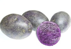 Menurunkan Tekanan Darah Orang Obesitas dengan Kentang Ungu