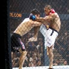 Pertarungan Lintas Ilmu Beladiri Digelar di Jakarta