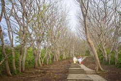 Legenda Cinta Tragis Makam Jayaprana, Bali