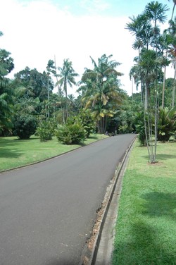 Wisata Alam, Religi, dan Kuliner di Bogor