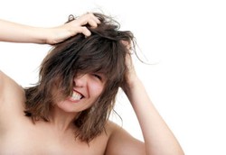 Kutu Kepala Suka Rambut yang Bersih