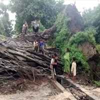 Pohon Beringin Raksasa Berusia Ratusan Tahun Tumbang