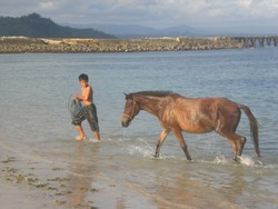 SAAT PALING TEPAT KE - SUMBA