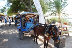 Cidomo,Sensasi Motor Bermesin Kuda