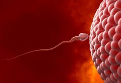 Rahasia Sperma Sehat dari Ayah Tertua di Dunia