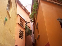 Tragedi Cinta di Alley of the Kiss, Mexico
