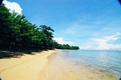 Pantai Tanjung Kasuari, Bagai Oase di Papua