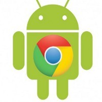 Chrome di Android Tidak Support Flash