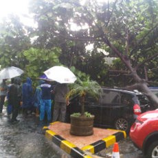 Bruk, Pohon di Belakang Gramedia Merdeka Tumbang Timpa 6 Mobil