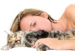 Parasit Pada Kucing Bisa Bikin Orang Sakit Jiwa