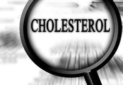 Nutrisi Terbaik untuk Turunkan Kolesterol Jahat