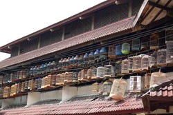 Menikmati Kicau Merdu di Pasar Burung Pramuka