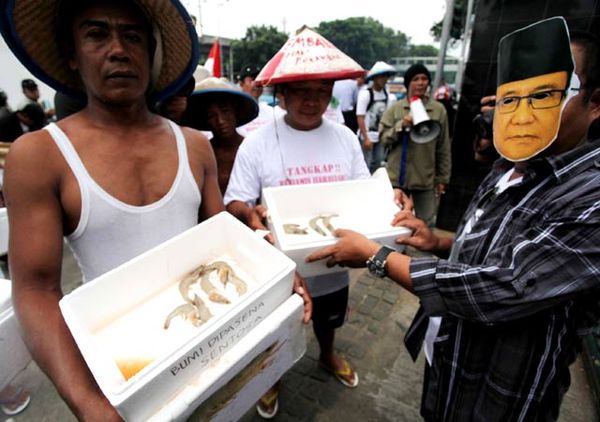 Menteri Kelautan Dikado Udang Dipasena