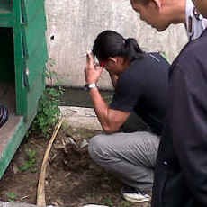 Mayat Bayi di Perumahan Mewah Dimakan Anjing