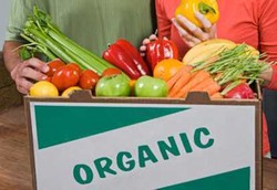 Seberapa Aman Makanan Organik dari Racun Arsenik?