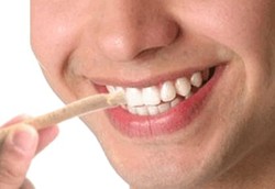 Alasan Siwak Efektif Membersihkan Gigi