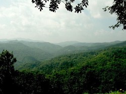 Kisah Mereka yang Berjuang Hidup di Ladang Opium Doi Tung