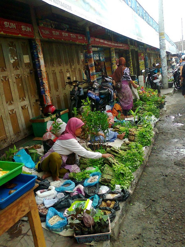 Pedagang bibit sayuran & tanaman hias biasanya hanya ada saat pasaran legi. Beberapa dari mereka ada yang berasal dari Bandungan, Klaten, hingga Tawangmangu.