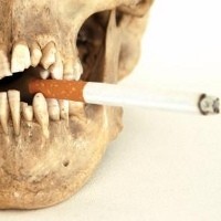 Bakteri Baik yang Ada di Mulut Bisa Lenyap Karena Rokok