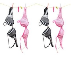 156 Juta Bra Dibeli Tapi Tak Pernah Dipakai oleh Wanita