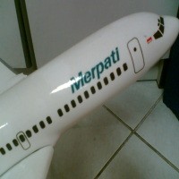 Diam-diam Merpati Pesan 40 Pesawat Jet China
