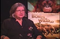 Kisah Biruti Galdikas Merawat Orangutan Bak Saudara Sepupu