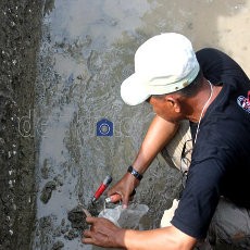Jadi Komplek Perumahan, Situs Arkeologi di Medan Terancam Musnah