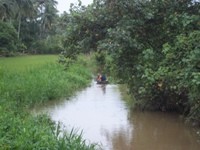 Catatan Perempuan Seribu Sungai