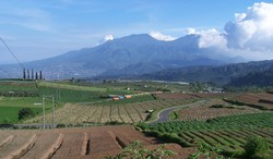 Ortu Pensiun? Ajak Liburan ke 5 Tempat Paling Tenang