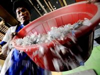 Menyulap Sampah Jadi Rupiah