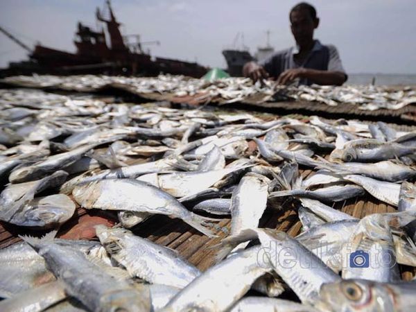 Cuaca Buruk, Tangkapan Nelayan Turun Cuaca Buruk, Tangkapan Nelayan Turun