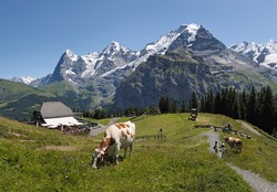 Ini Dia 5 Alasan Kenapa Anda Harus ke Swiss