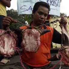 Stok Sapi Potong Kosong, Pedagang Tolak Penjualan Sapi Keluar Jatim