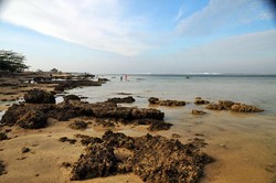 Berakhir Pekan dengan Penyu dan Pantai di Ujung Genteng