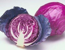 Si Ungu Cantik Pencegah Kanker dan Osteoporosis