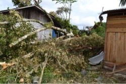 Warga Korban Puting Beliung di Pakpak Bharat Sumut Berbenah