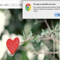 Lindungi Copyright, Pinterest & Flickr Pagari Foto User