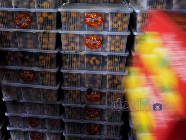 Pintu Masuk Buah Impor Segera Dibatasi