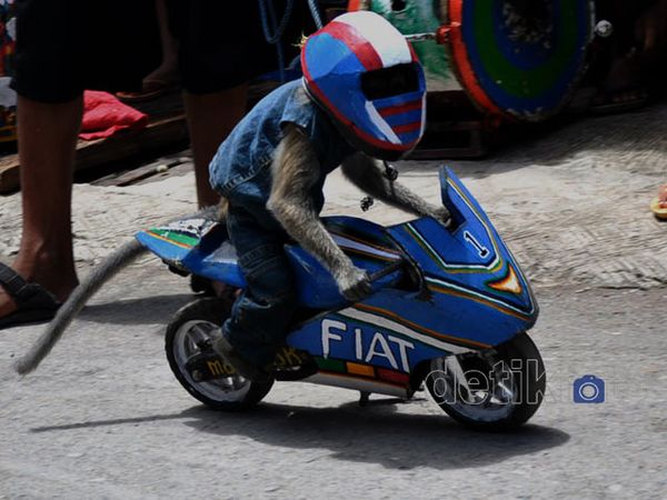 Ketika Sarimin Bergaya ala Lorenzo