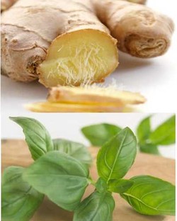 Sedang Bad Mood? Makanlah Alpukat dan Anggur!