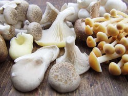 Jamur Segar si Kaya Nutrisi